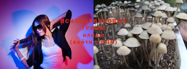 прущий лед Алзамай