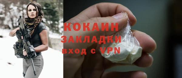 СК Алексин