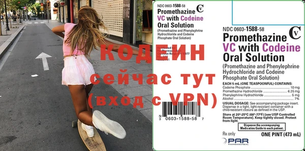 прущий лед Алзамай