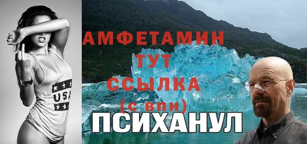 прущий лед Алзамай