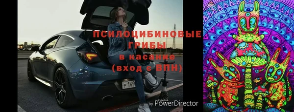 СК Алексин