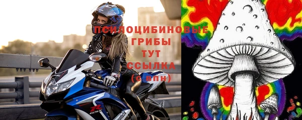 СК Алексин