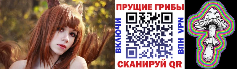 Купить где  Кизел  Галлюциногенные грибы Psilocybe 
